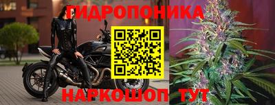 крисы Заводоуковск
