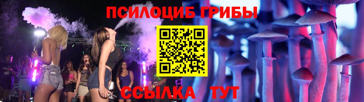 Галлюциногенные грибы Psilocybe  Псилоцибиновые грибы мухоморы  Вход с VPN  Лениногорск 